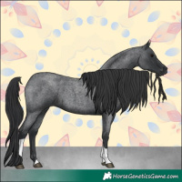 Horse Color:Blue Roan Tobiano 