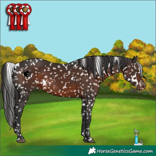 Horse Color:White Spotted Liver Chestnut Snowflake Varnish