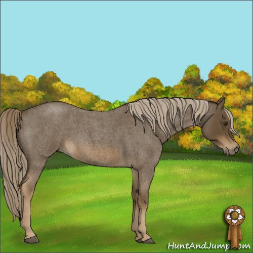Horse Color:Chocolate Palomino Roan 
