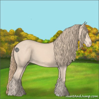 Horse Color:Perlino 