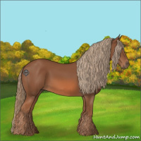 Horse Color:Chestnut Rabicano 