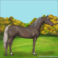 Horse Color:Silver Black 