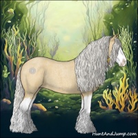 Horse Color:Silver Buckskin Roan Splash 