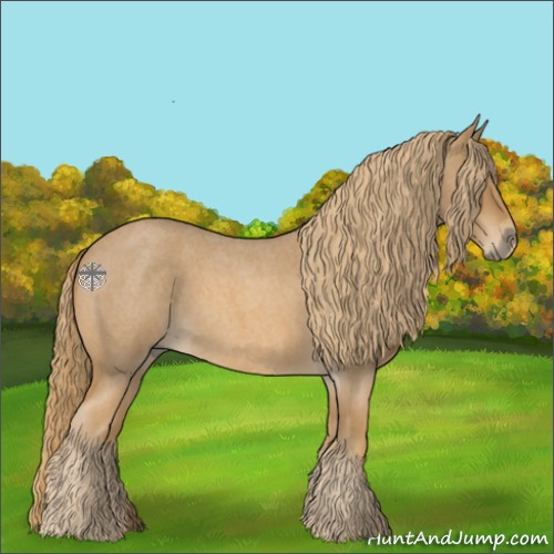 Horse Color:Red Roan 