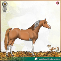 Horse Color:Chestnut Splash Tobiano
