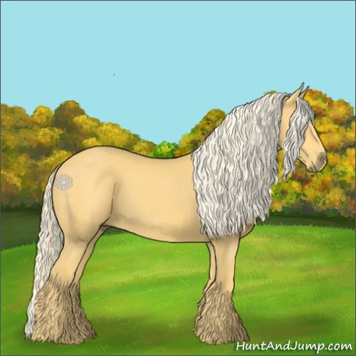 Horse Color:Palomino