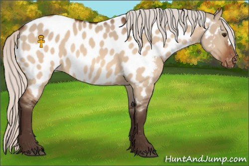 Horse Color:Silver Brown Dun Near Leopard