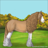Horse Color:Red Roan Splash 