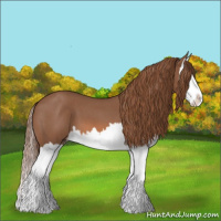 Horse Color:Red Roan Splash 