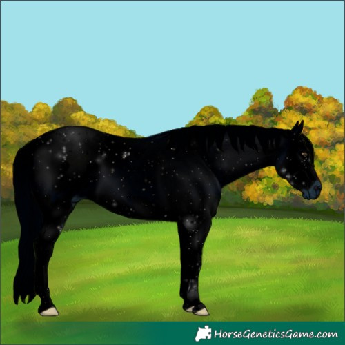 Horse Color:ERROR: UNKNOWN ANOMALY