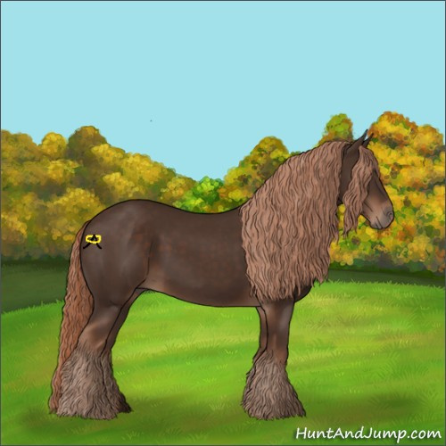Horse Color:Liver Chestnut 