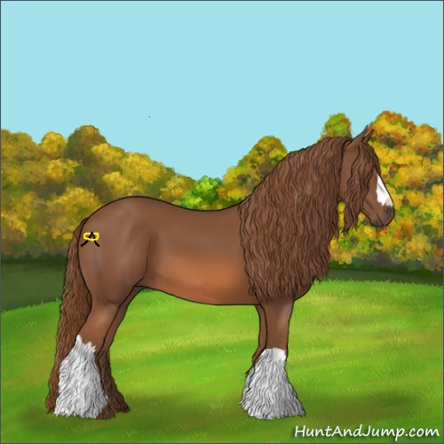 Horse Color:Chestnut 