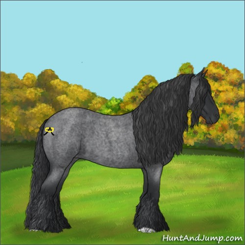 Horse Color:Blue Roan 