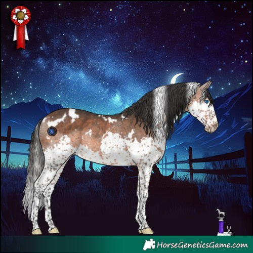 Horse Color:White Spotted Brown Splash Rabicano 