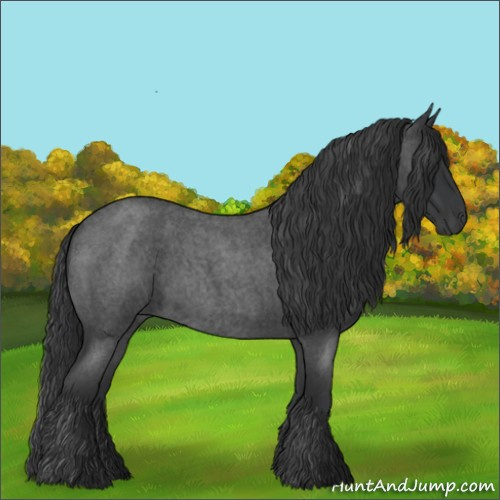 Horse Color:Blue Roan 