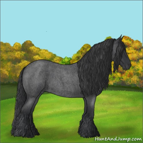 Horse Color:Blue Roan 