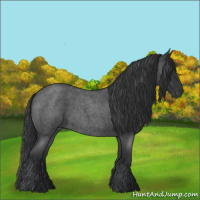 Horse Color:Blue Roan 
