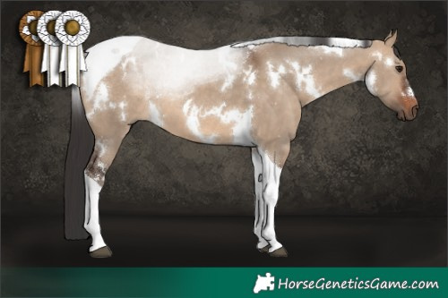 Horse Color:White Spotted Brown Dun Tobiano 