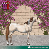 Horse Color:White Spotted Brown Pearl Dun Rabicano