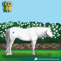 Horse Color:Brown Dun Sabino Rabicano