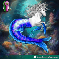 Horse Color:Black Splash Appaloosa 