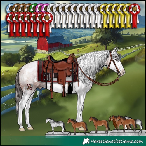 Horse Color:White Spotted Bay Splash 