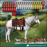 Horse Color:White Spotted Bay Splash 