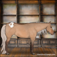 Horse Color:Silver Brown Dun Appaloosa 