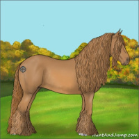 Horse Color:Chestnut Rabicano 