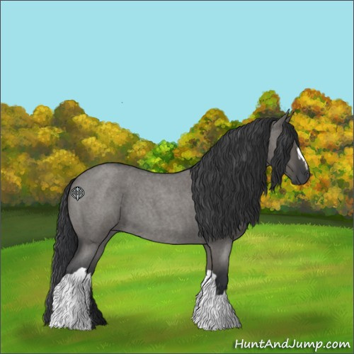 Horse Color:Grullo Roan 