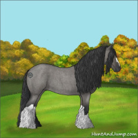 Horse Color:Grullo Roan 