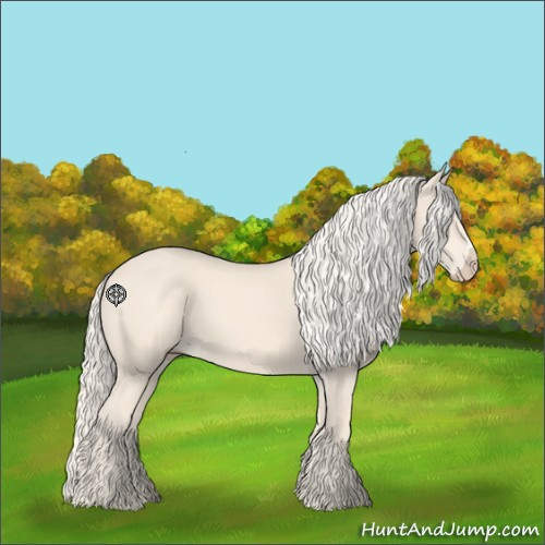 Horse Color:Cremello 