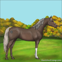 Horse Color:Silver Black 