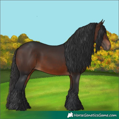 Horse Color:Brown 