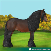 Horse Color:Brown 