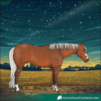 Horse Color:Silver Bay 