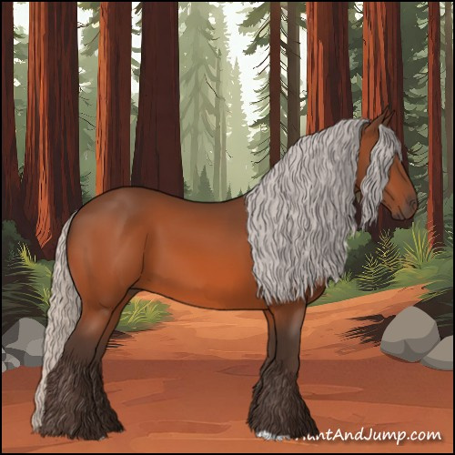 Horse Color:Silver Bay 