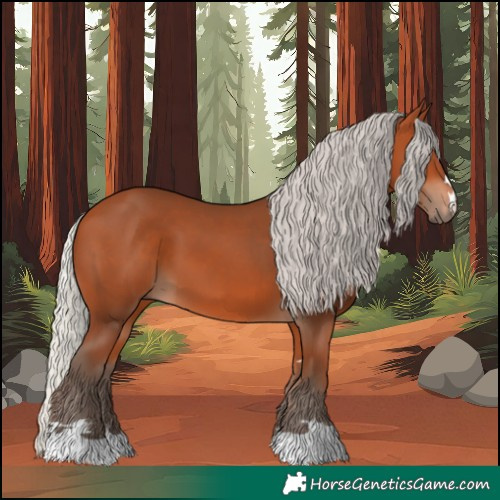 Horse Color:Silver Bay 