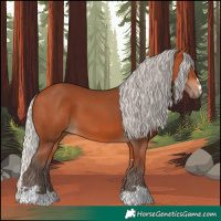 Horse Color:Silver Bay 