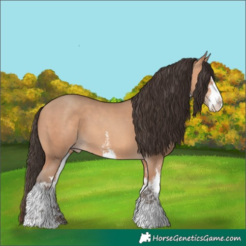 Horse Color:White Spotted Amber Champagne 