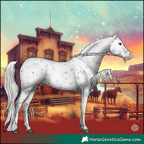 Horse Color:Silver Brown Sabino 