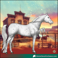 Horse Color:Silver Brown Sabino 