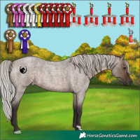 Horse Color:Silver Brown Roan Dun 