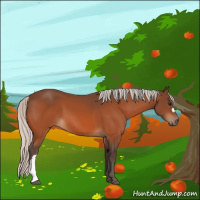 Horse Color:Silver Bay 