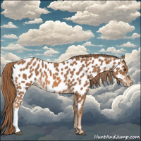 Horse Color:Chestnut Near Leopard