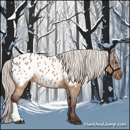 Horse Color:Silver Brown Dun Appaloosa
