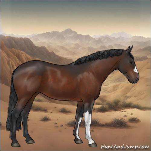 Horse Color:Brown 