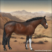 Horse Color:Brown 