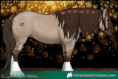 Horse Color:Liver Red Dun 