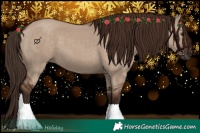 Horse Color:Liver Red Dun 